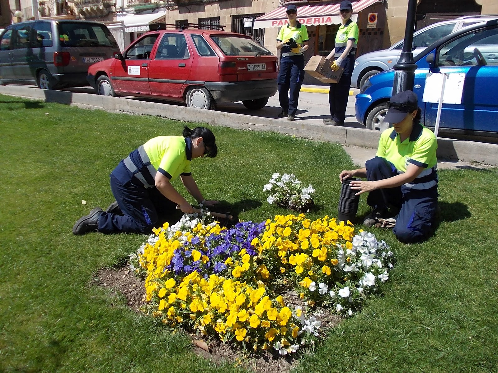 UF0020: OPERACIONES PARA LA INSTALACIÓN DE JARDINES Y ZONAS VERDES
