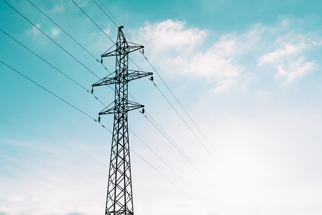 ELEE008PO TECNICAS DE MANTENIMIENTO EN LINEAS AEREAS DE ALTA TENSIÓN