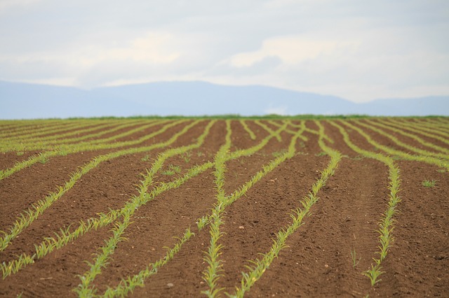 AGAU010PO MODIFICACIONES LEGISLATIVAS DE REFERENCIA EN EL SECTOR AGRARIO