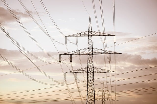 ELEE010PO MANTENIMIENTO SISTEMAS DE TELECOMUNUCACIÓN DE SEGURIDAD Y CONTROL EN SUBESTACIONES ELÉCTRICAS