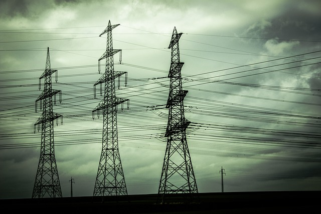 ELEE013PO NORMAS DE OPERACIÓN DE LAS REDES DE DISTRUCION ELÉCTRICA