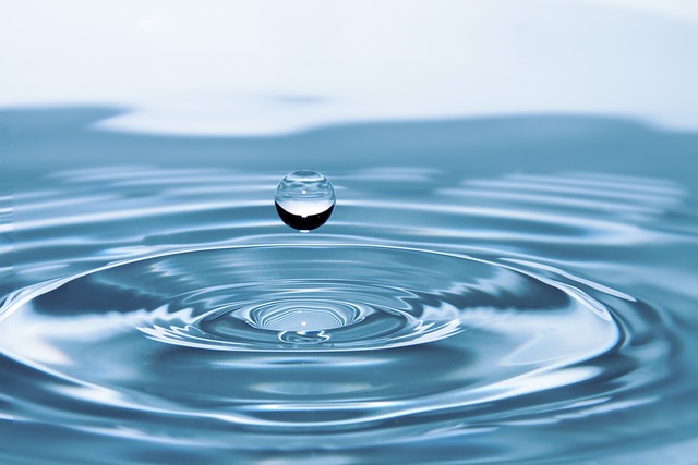  LA POTABILIZACIÓN DEL AGUA