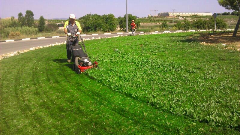 UF0021: MANTENIMIENTO Y MEJORA DE ELEMENTOS VEGETALES