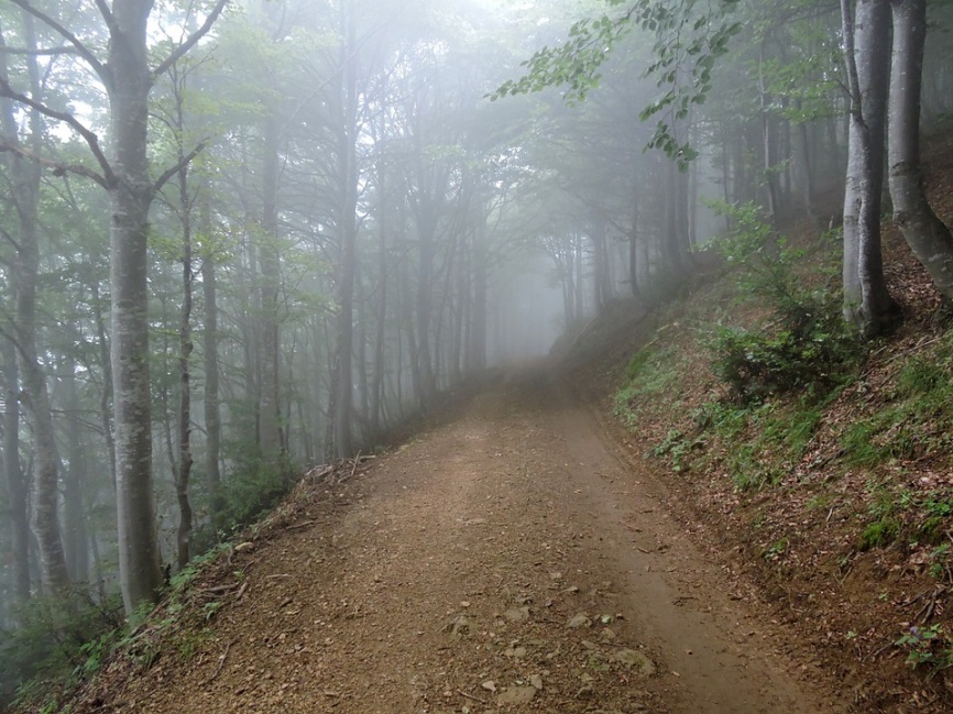 UF0507: APERTURA Y MANTENIMIENTO DE VÍAS FORESTALES.