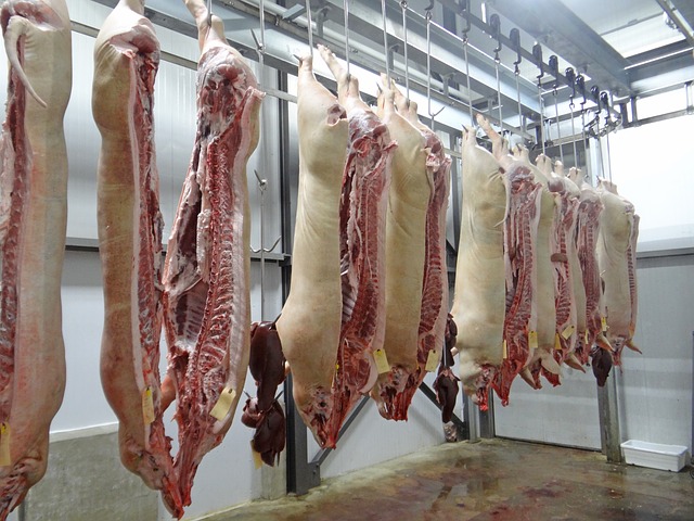 BIENESTAR ANIMAL. MÓDULO MATADEROS