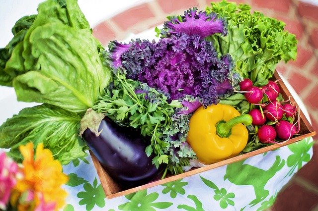 NUTRICIÓN Y DIETÉTICA