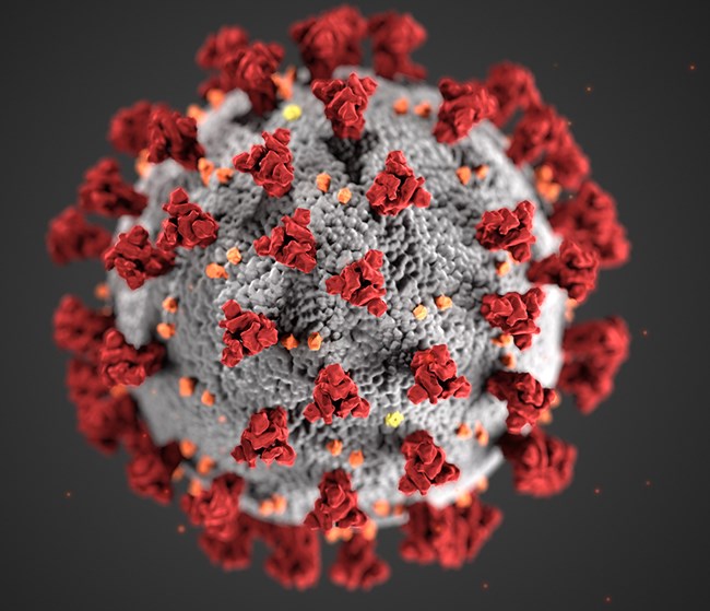 CORONAVIRUS: MEDIDAS DE PREVENCIÓN