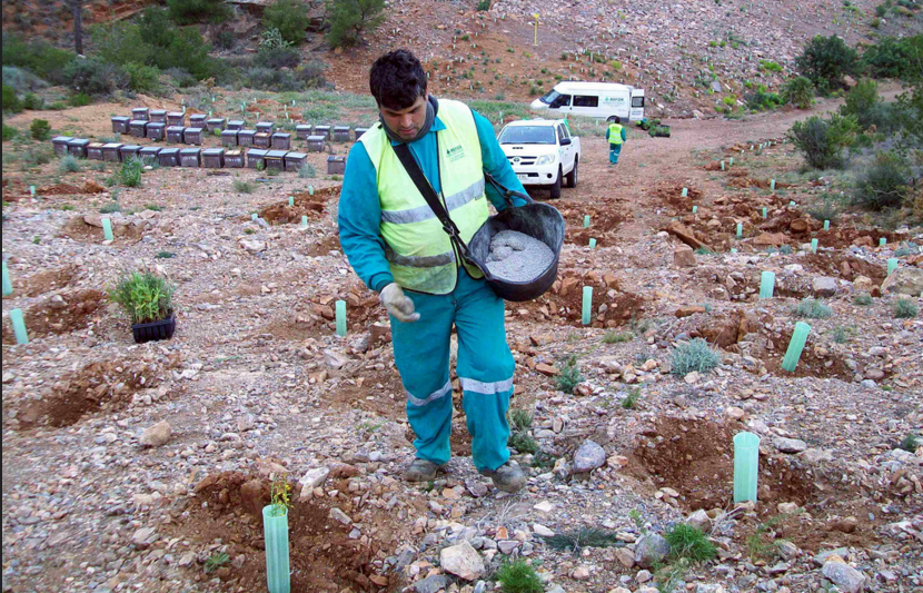 UF0505: OPERACIONES EN REPOBLACIONES FORESTALES.